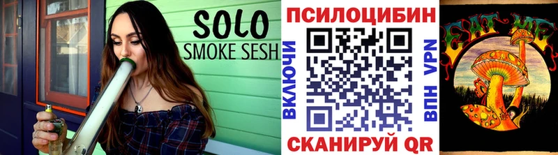 Псилоцибиновые грибы Psilocybine cubensis  Тайга 
